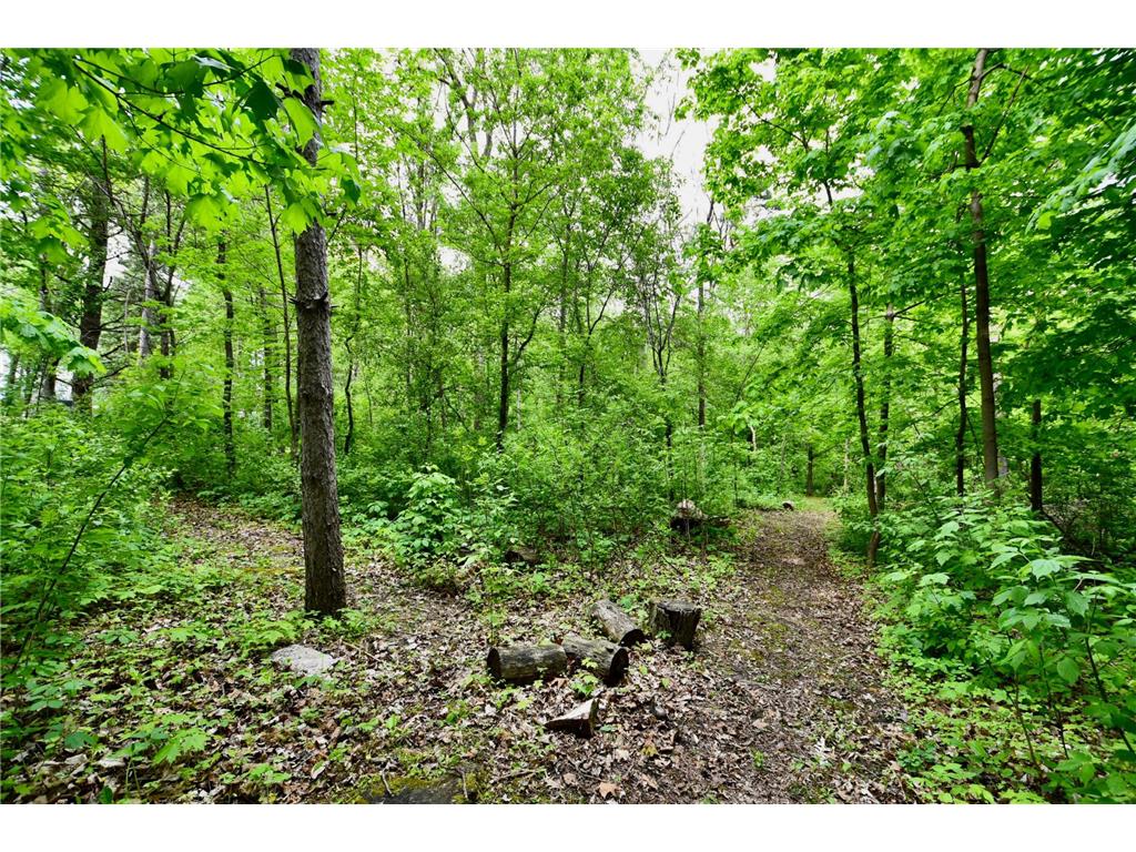 30300 County 1 Sumner Twp MN 55975 7075495 image40