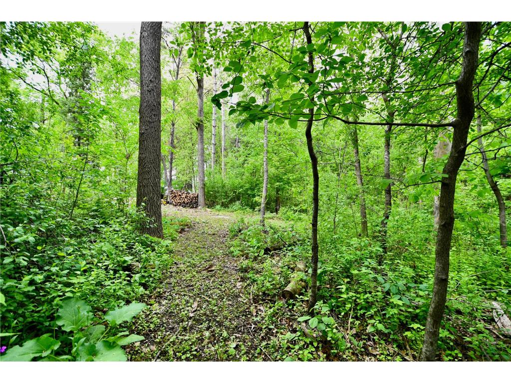 30300 County 1 Sumner Twp MN 55975 7075495 image41