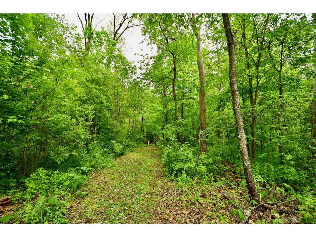 30300 County 1 Sumner Twp MN 55975 7075495 image42