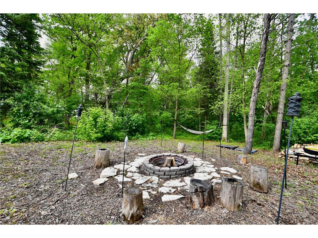 30300 County 1 Sumner Twp MN 55975 7075495 image43
