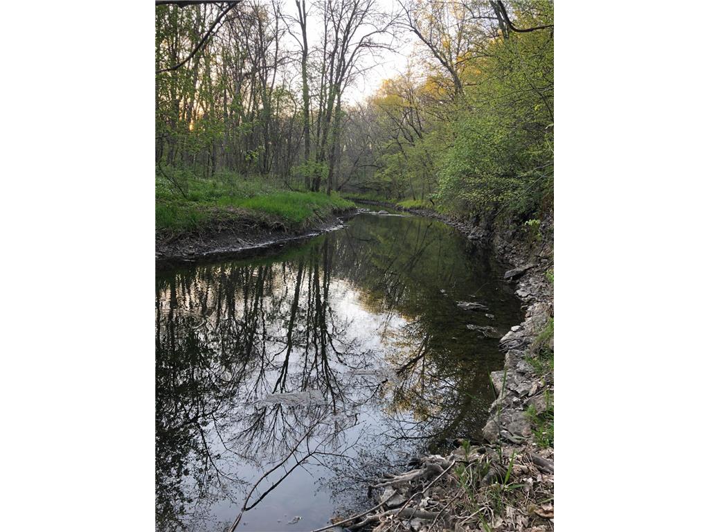 30300 County 1 Sumner Twp MN 55975 7075495 image44