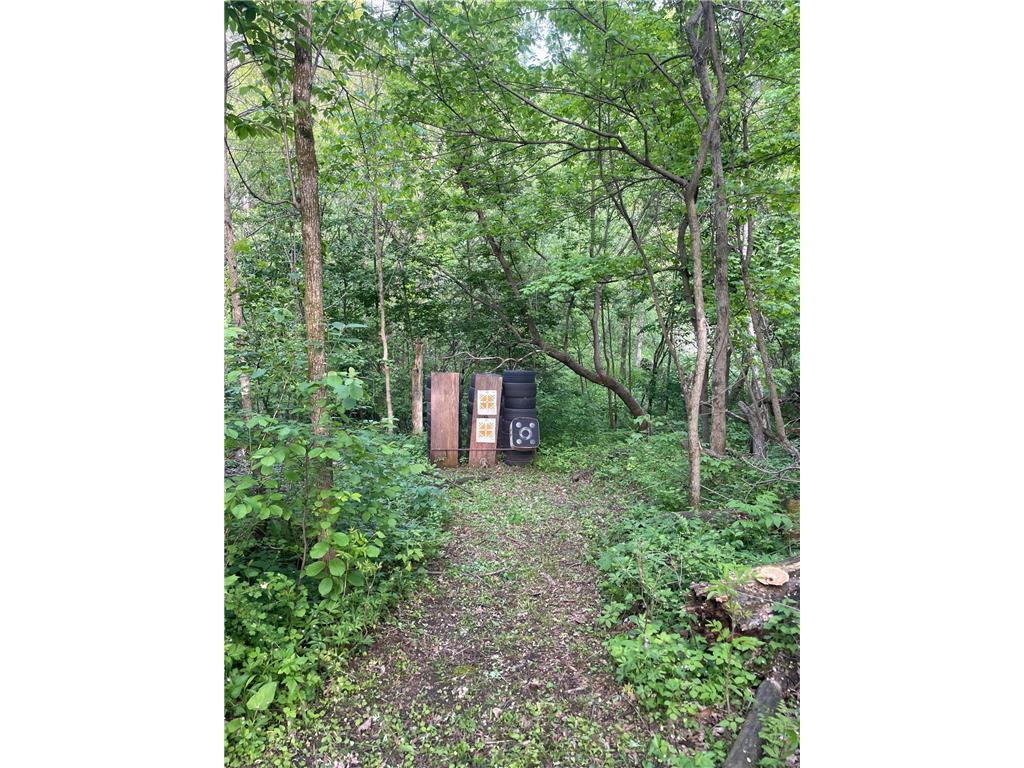 30300 County 1 Sumner Twp MN 55975 7075495 image45