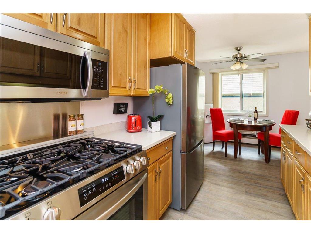 3033 E Bde Maka Ska Parkway #201 Minneapolis MN 55408 - Bde Maka Ska 6777379 image10