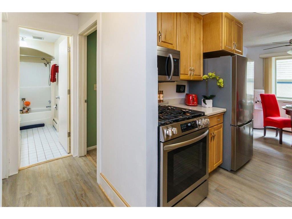 3033 E Bde Maka Ska Parkway #201 Minneapolis MN 55408 - Bde Maka Ska 6777379 image13