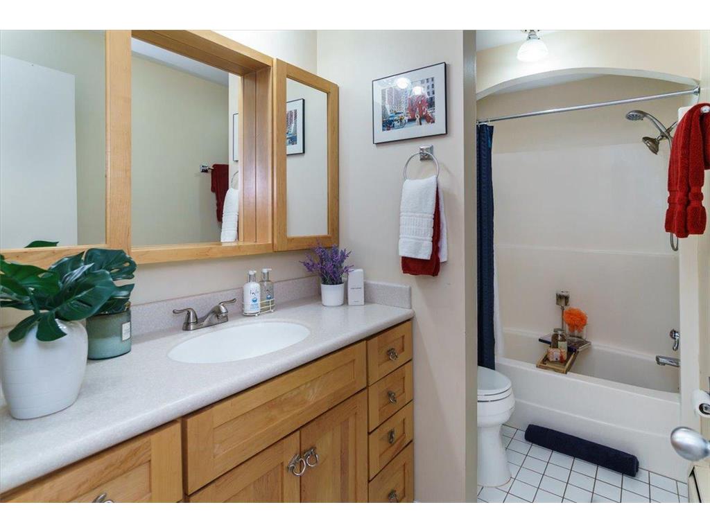 3033 E Bde Maka Ska Parkway #201 Minneapolis MN 55408 - Bde Maka Ska 6777379 image21