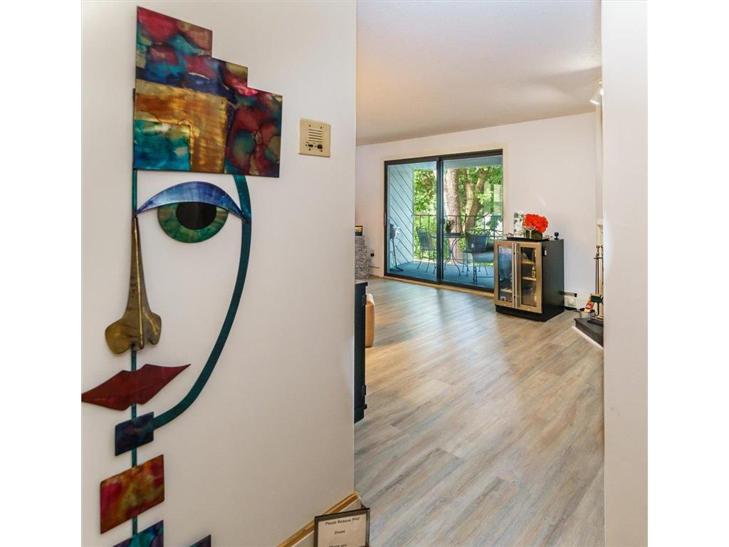 3033 E Bde Maka Ska Parkway #201 Minneapolis MN 55408 - Bde Maka Ska 6777379 image7