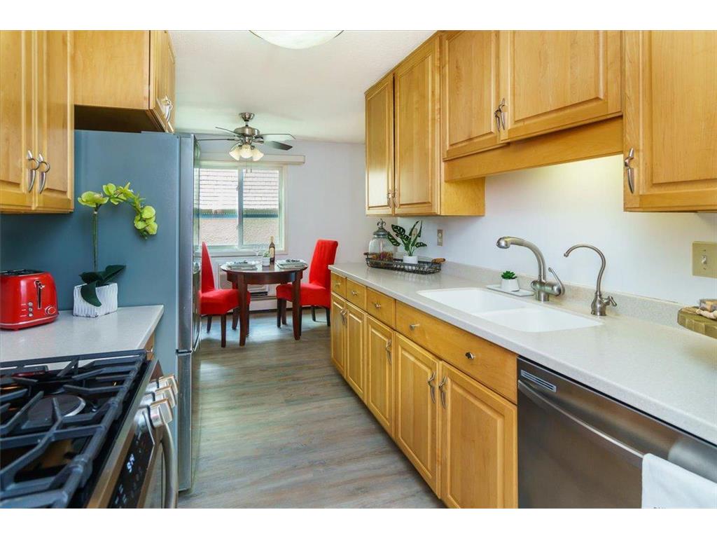 3033 E Bde Maka Ska Parkway #201 Minneapolis MN 55408 - Bde Maka Ska 6777379 image9