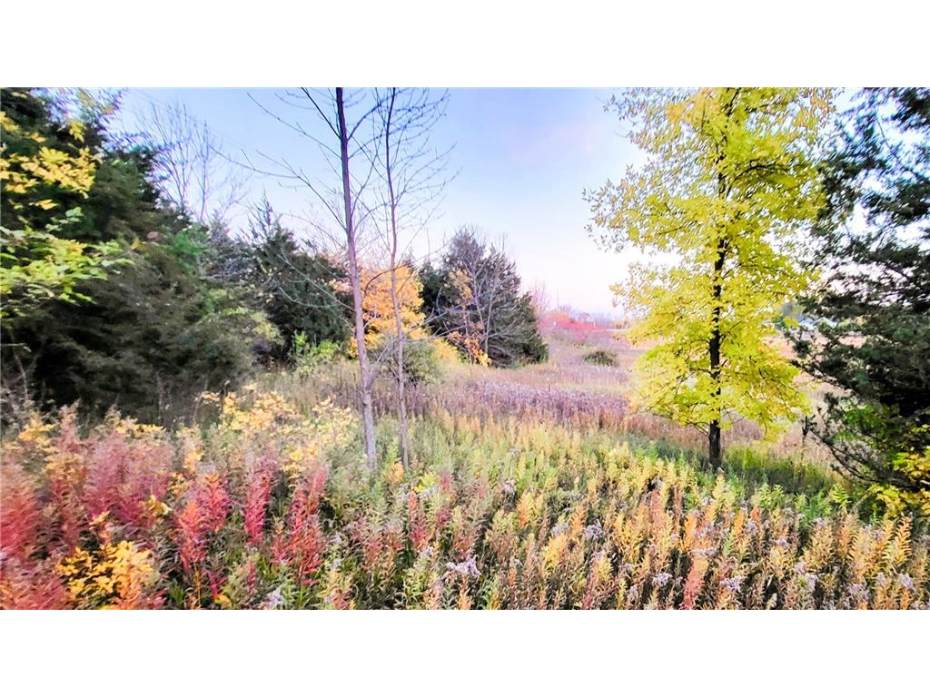 30339 Orchard Court Center City MN 55012 - South Center Lake 7023948 image22