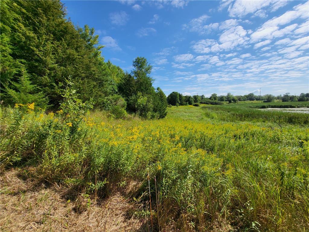 30339 Orchard Court Center City MN 55012 - South Center Lake 7023948 image24