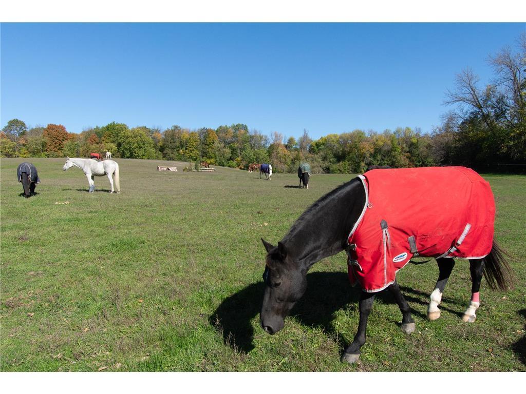 3035 Lake Sarah Road Independence MN 55359 - Robina 6803107 image38