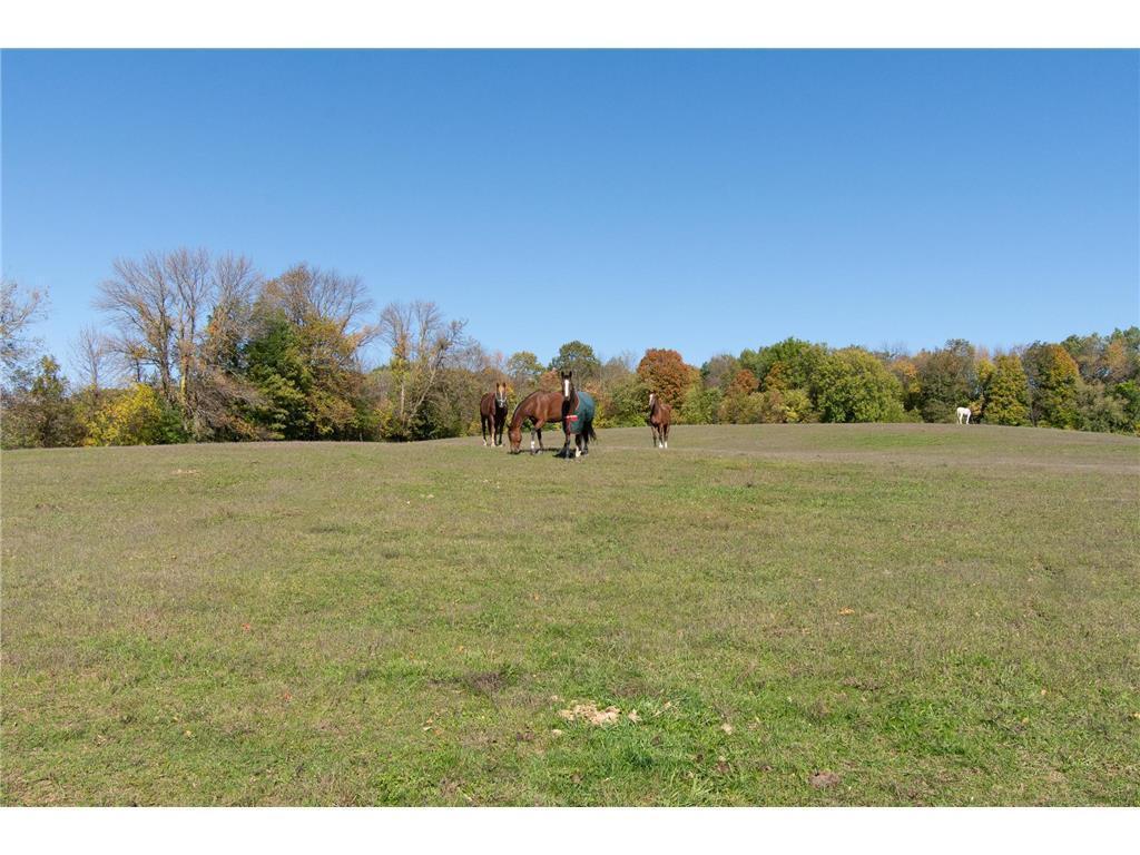 3035 Lake Sarah Road Independence MN 55359 - Robina 6803107 image39