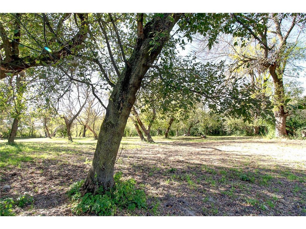 3035 Lake Sarah Road Independence MN 55359 - Robina 6803107 image42