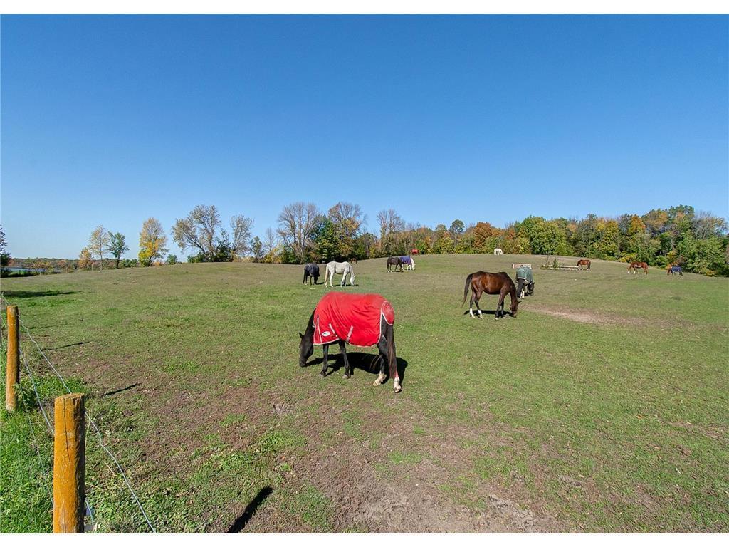 3035 Lake Sarah Road Independence MN 55359 - Robina 6803107 image62