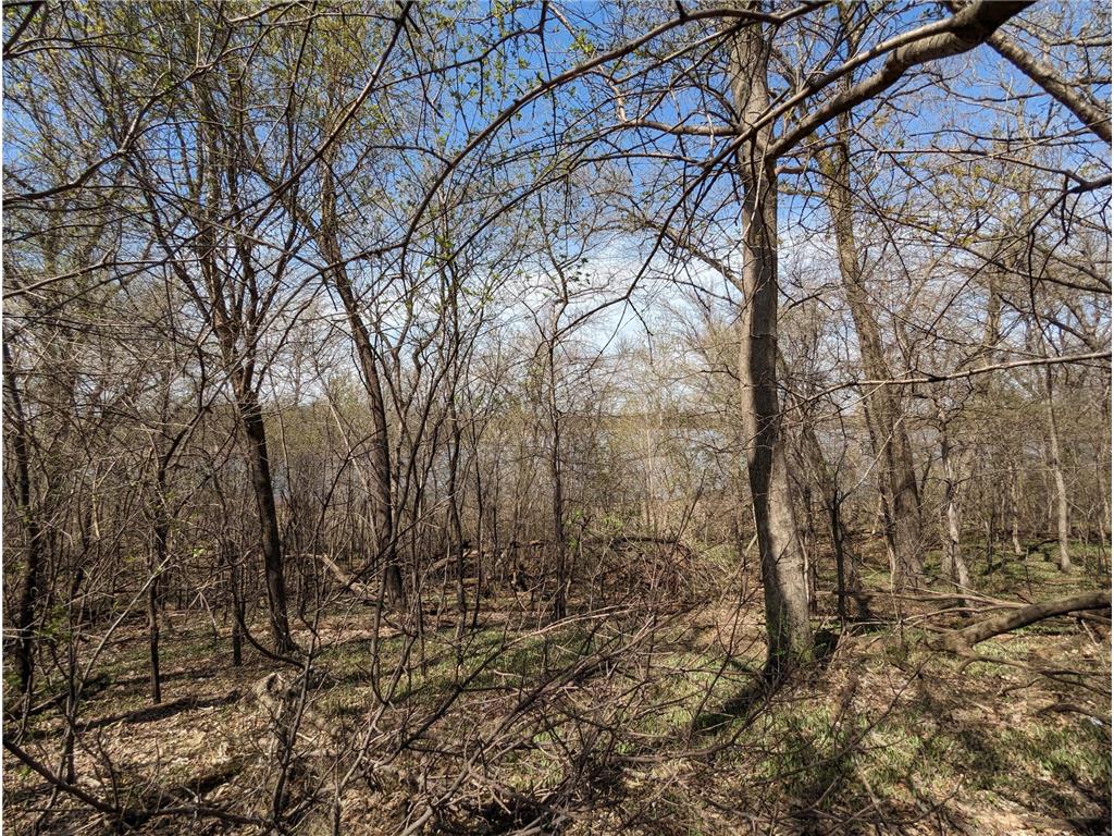 3036 Lake Chapeau Drive, Albert Lea, MN, 56007 MLS 6365344 Edina Realty