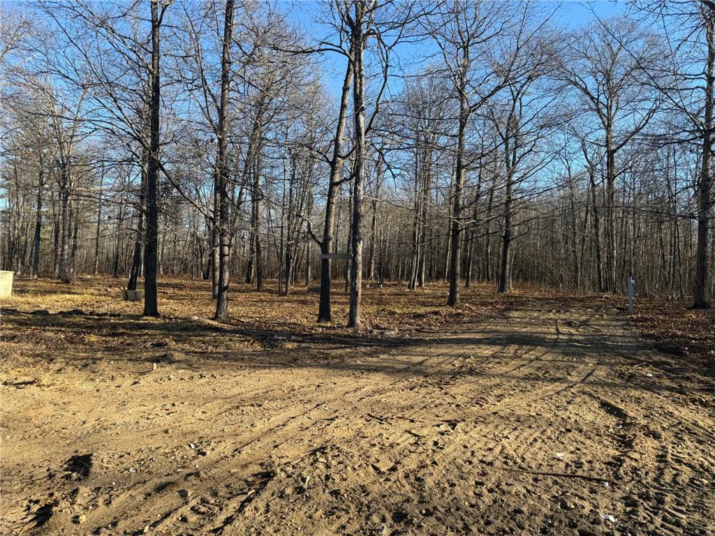 30371 Old Sunset Drive Lakeport Twp MN 56461 6785021 image3