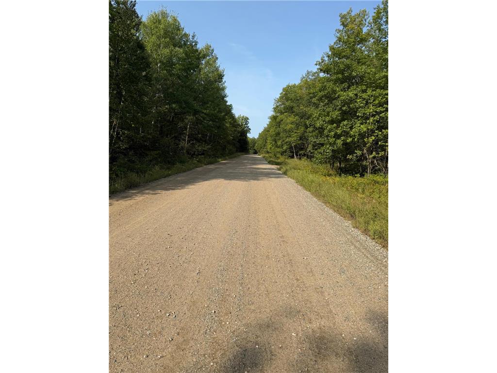 30371 Old Sunset Drive Lakeport Twp MN 56461 6785021 image6