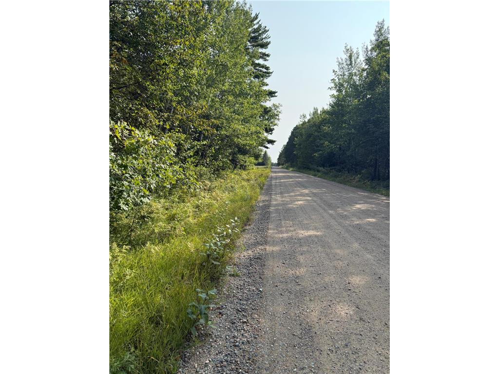 30371 Old Sunset Drive Lakeport Twp MN 56461 6785021 image7