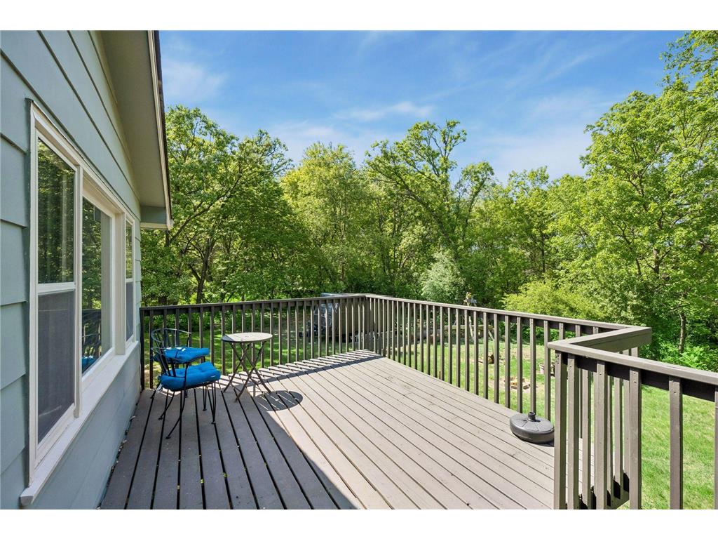 3041 164th Lane NW Andover MN 55304 7082046 image28