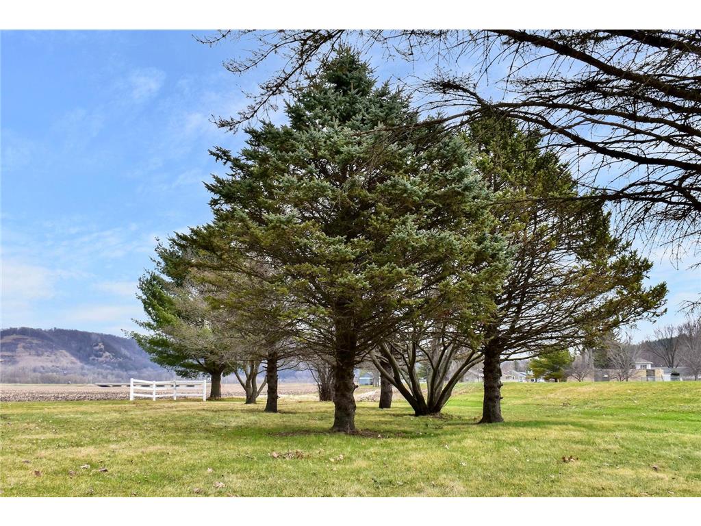 30411 State Highway 43 Rushford MN 55971 7077711 image30