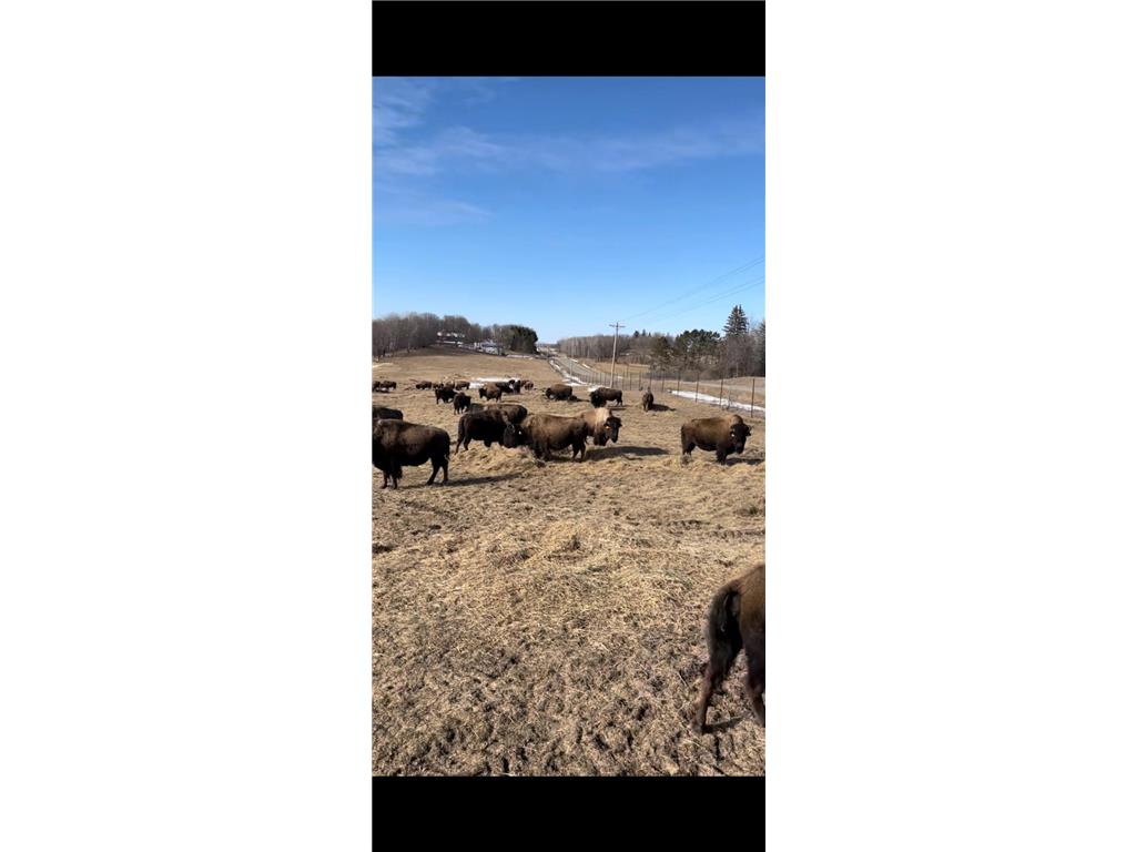 30423 Grosbeak Road Long Prairie MN 56347 7039547 image12