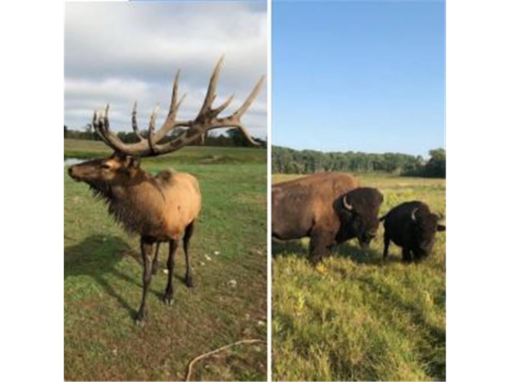 30423 Grosbeak Road Long Prairie MN 56347 7039547 image26