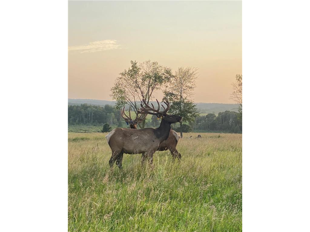 30423 Grosbeak Road Long Prairie MN 56347 7039547 image3