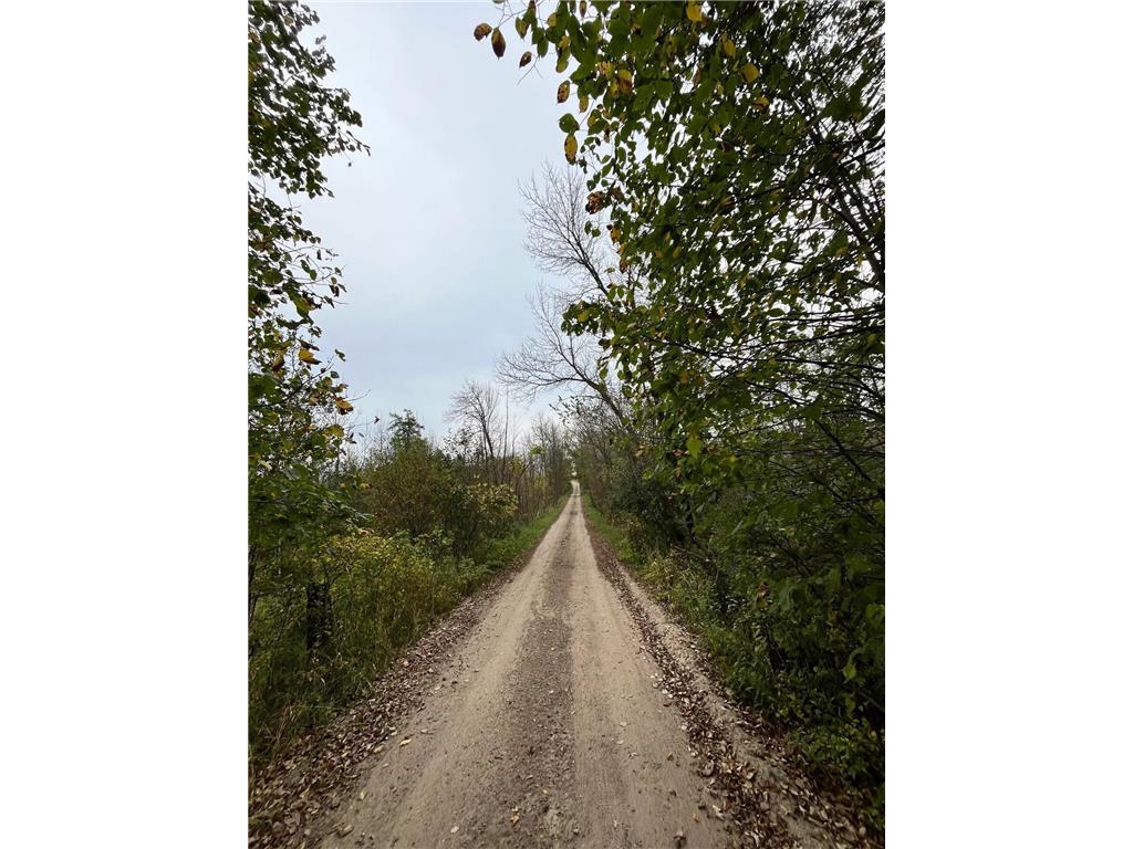 30423 Grosbeak Road Long Prairie MN 56347 7039547 image4