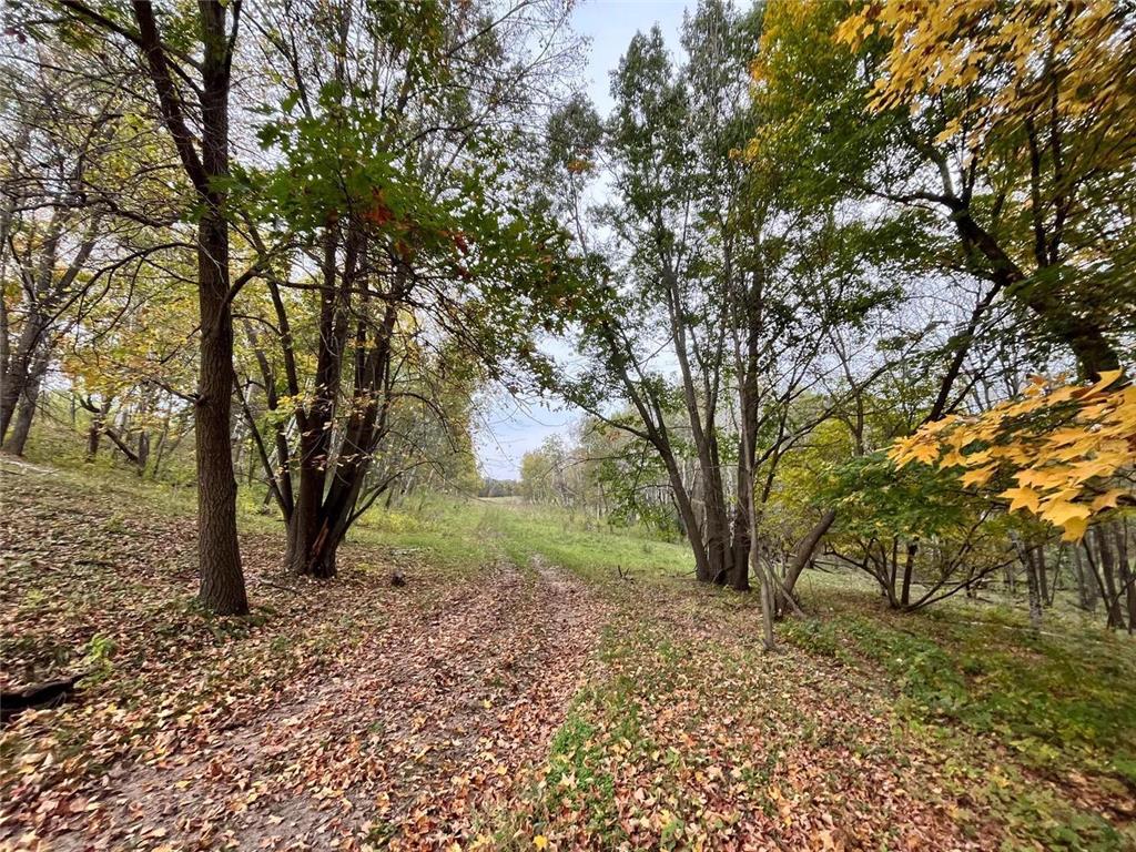 30423 Grosbeak Road Long Prairie MN 56347 7039547 image5