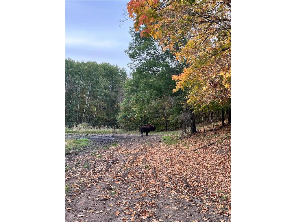 30423 Grosbeak Road Long Prairie MN 56347 7039547 image6