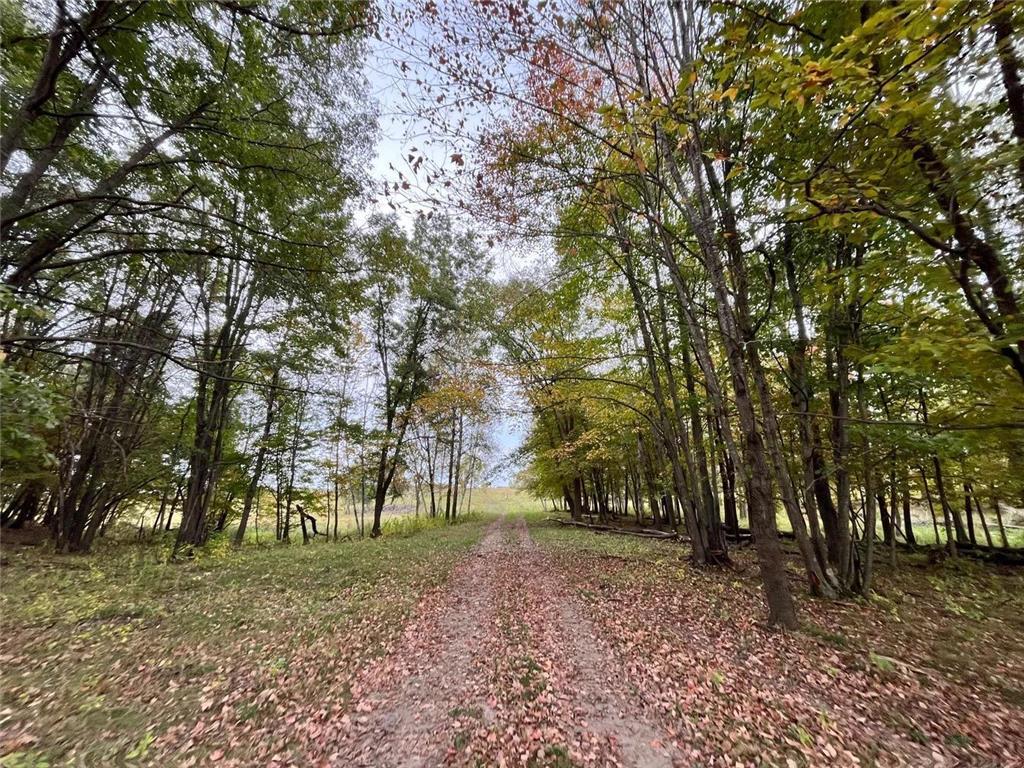 30423 Grosbeak Road Long Prairie MN 56347 7039547 image7