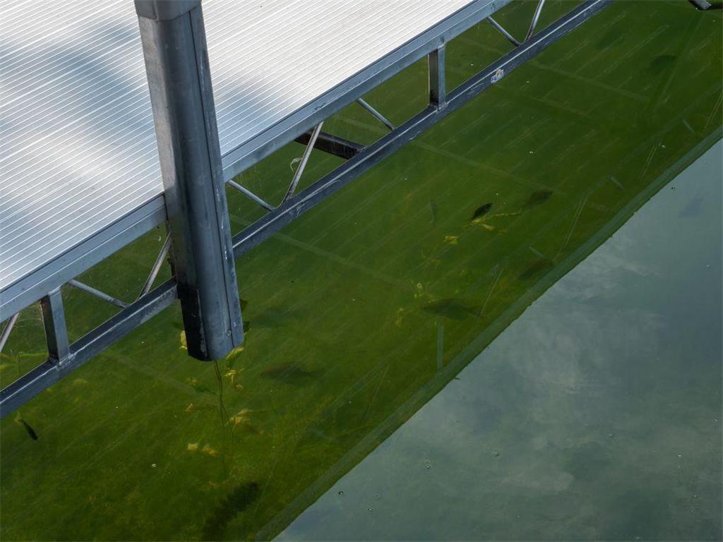 30424 410th Street #Unit 4 (share 3) - CIC 6 Dent MN 56528 - East Silent 7019903 image39