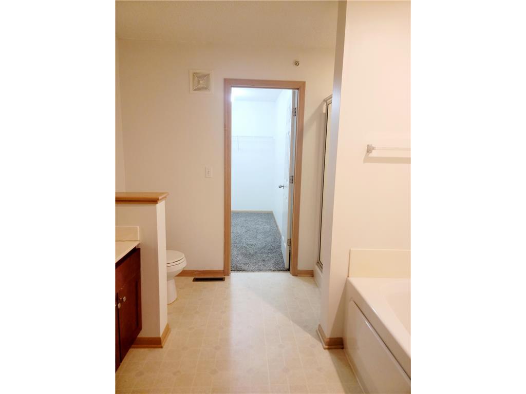 3049 Chamberlain Street N #4 Maplewood MN 55109 7020417 image13