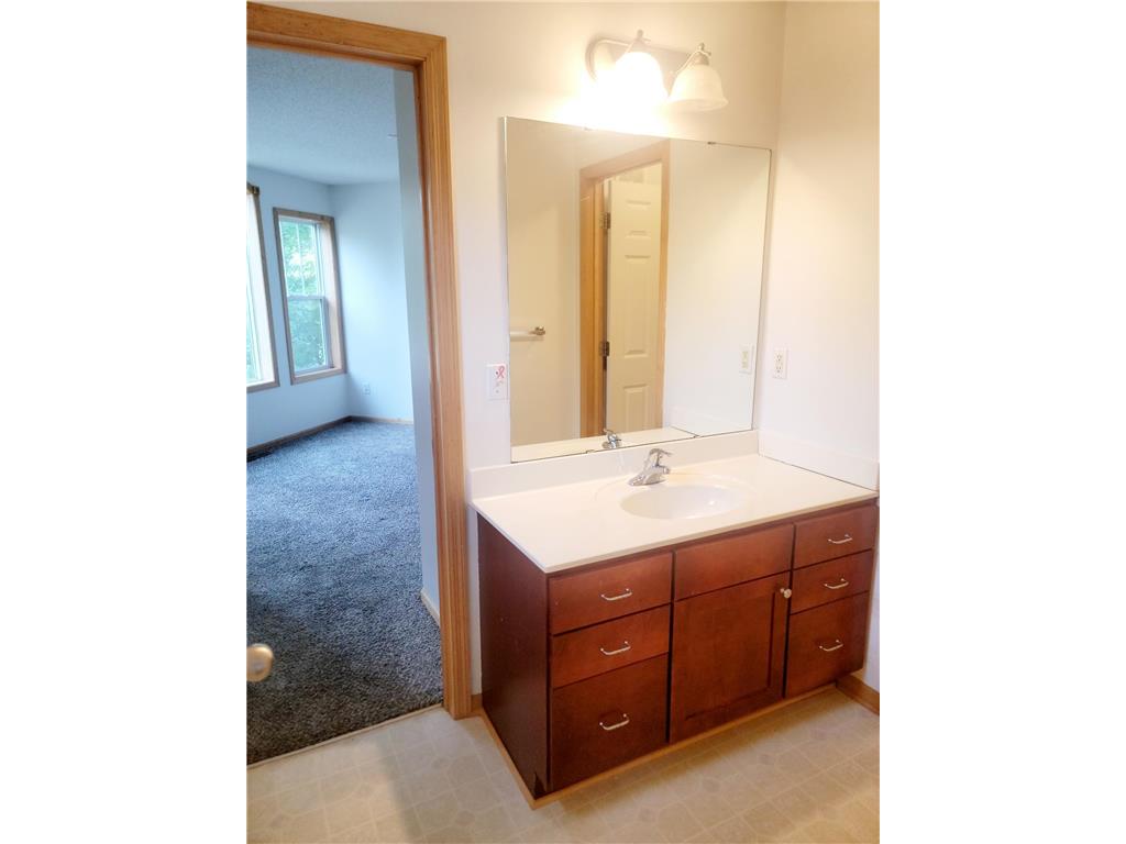 3049 Chamberlain Street N #4 Maplewood MN 55109 7020417 image14