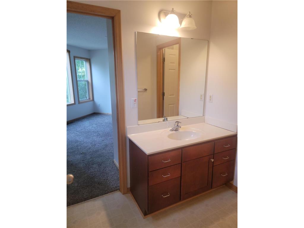 3049 Chamberlain Street N #4 Maplewood MN 55109 7020417 image15