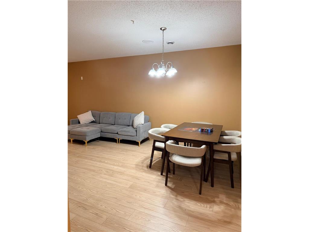 3049 Chamberlain Street N #6 Maplewood MN 55109 7060636 image3