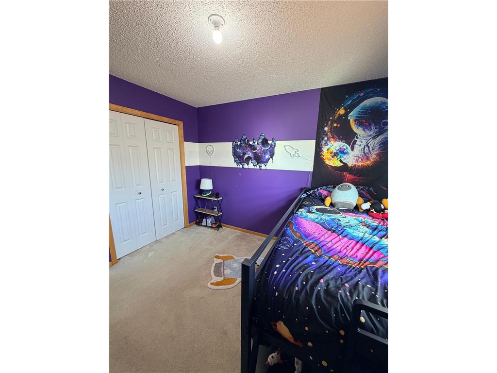 3049 Chamberlain Street N #6 Maplewood MN 55109 7060636 image36