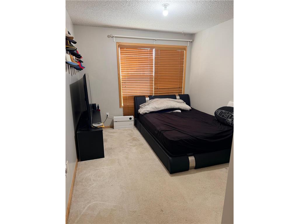3049 Chamberlain Street N #6 Maplewood MN 55109 7060636 image37