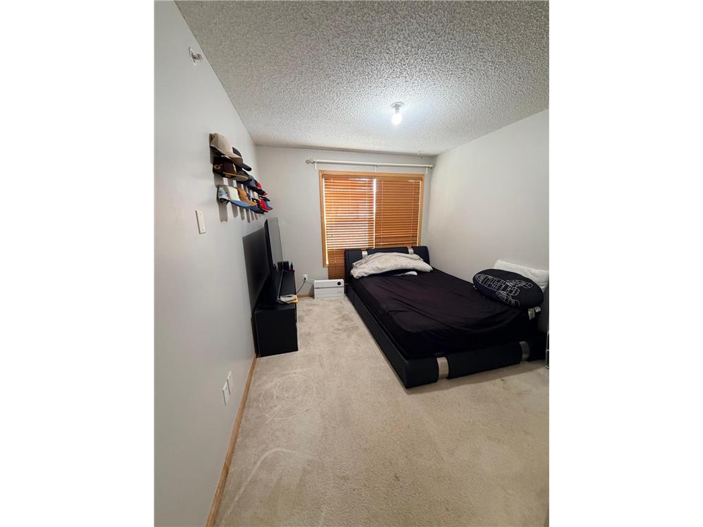 3049 Chamberlain Street N #6 Maplewood MN 55109 7060636 image39