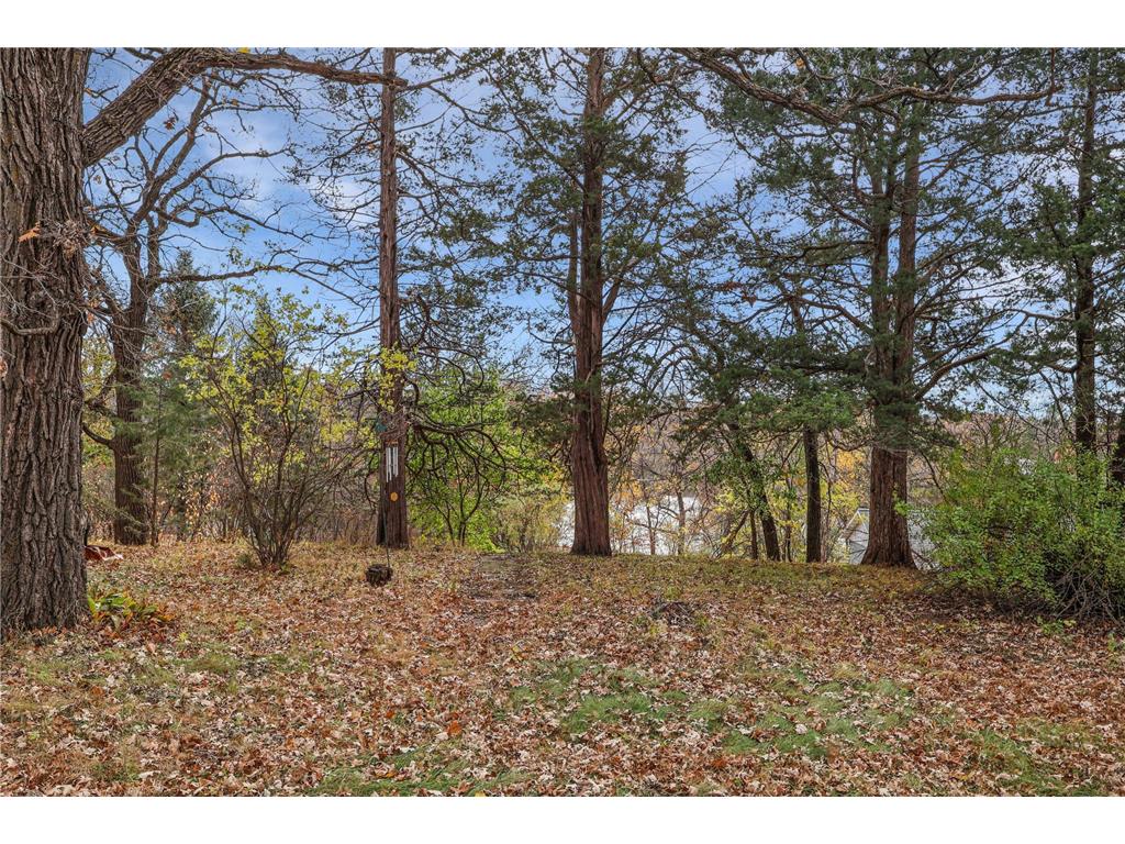 305 1st Avenue SE New London MN 56273 - Crow River 6808683 image1