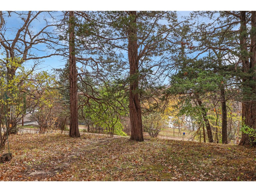 305 1st Avenue SE New London MN 56273 - Crow River 6808683 image2