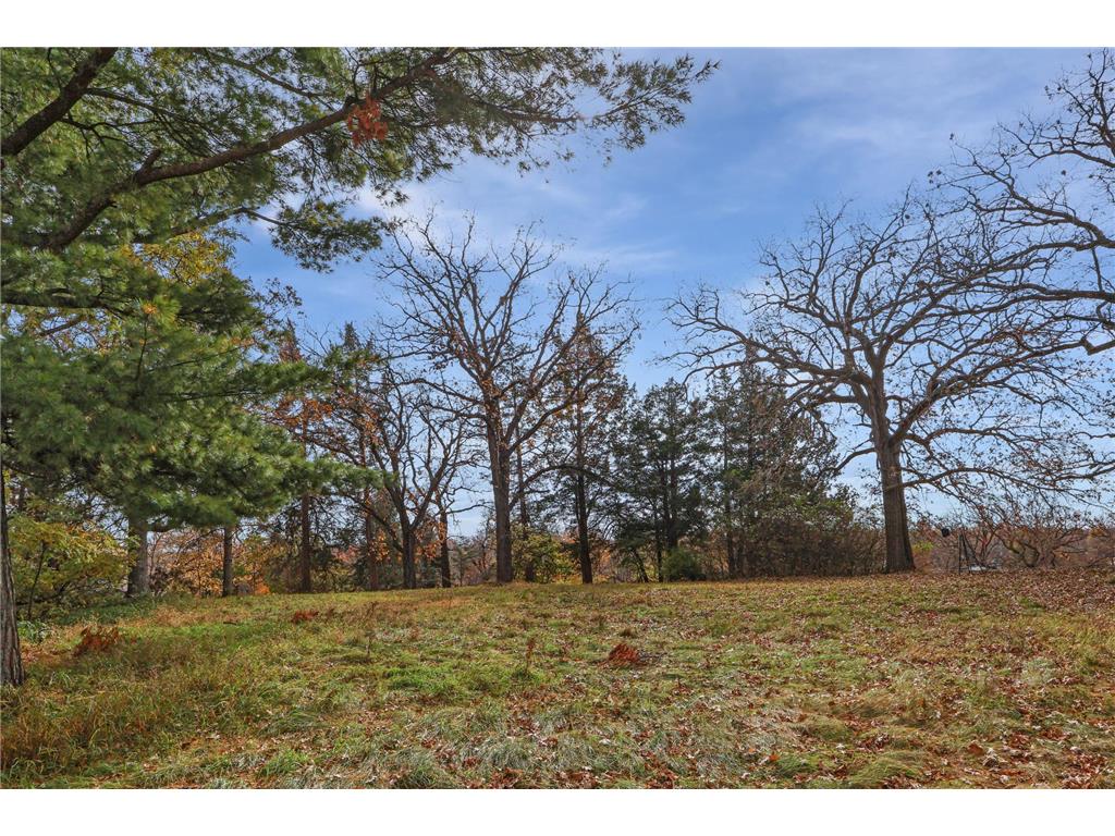 305 1st Avenue SE New London MN 56273 - Crow River 6808683 image4