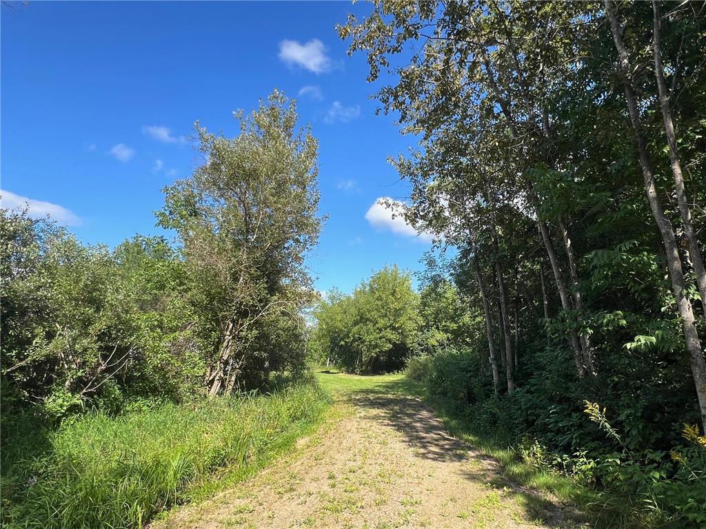 305 Forest Avenue Hill City MN 55748 - Hill Lake 6773988 image22