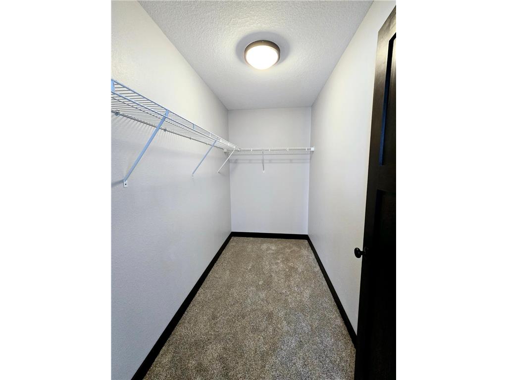 305 N Lane Green Isle MN 55338 7048093 image13