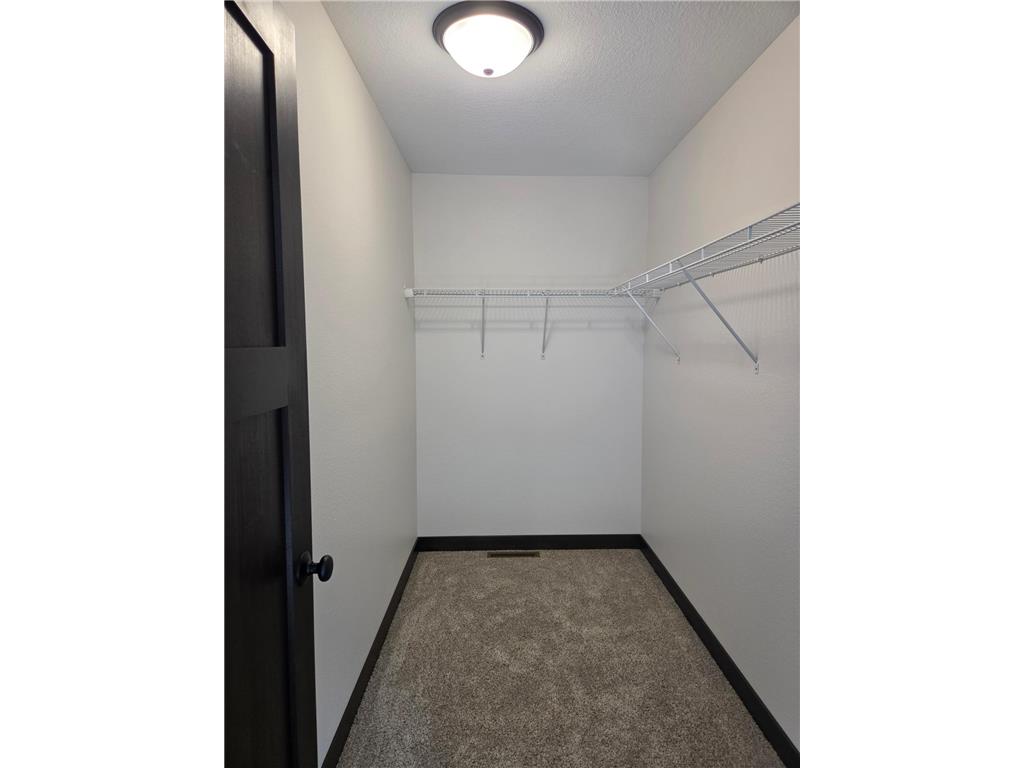 305 N Lane Green Isle MN 55338 7111516 image21