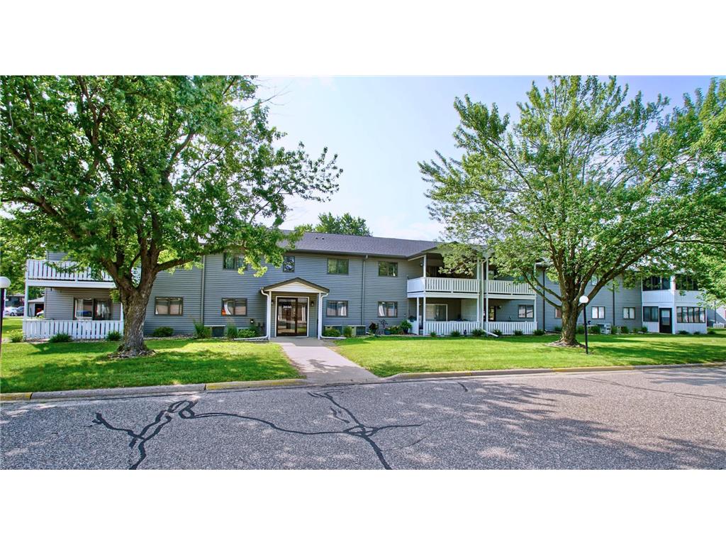 3050 Riverwood Drive 121, Hastings, MN, 55033 MLS 6399851 Edina