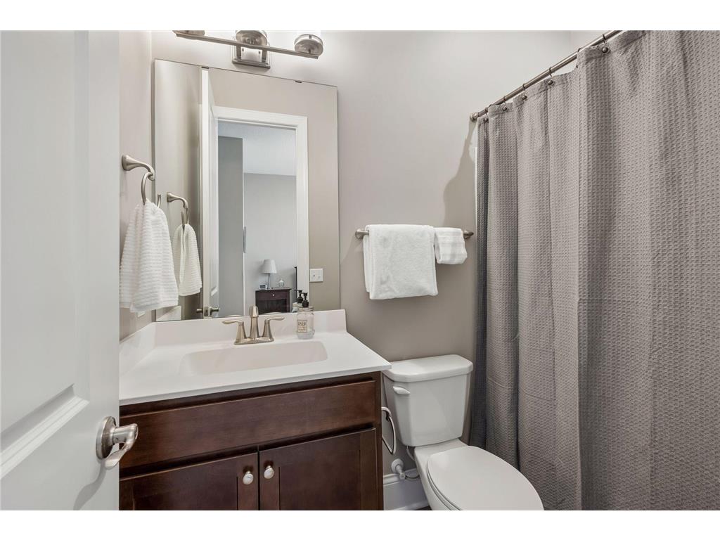 3050 Wild Flower Trail Medina MN 55340 7054064 image29