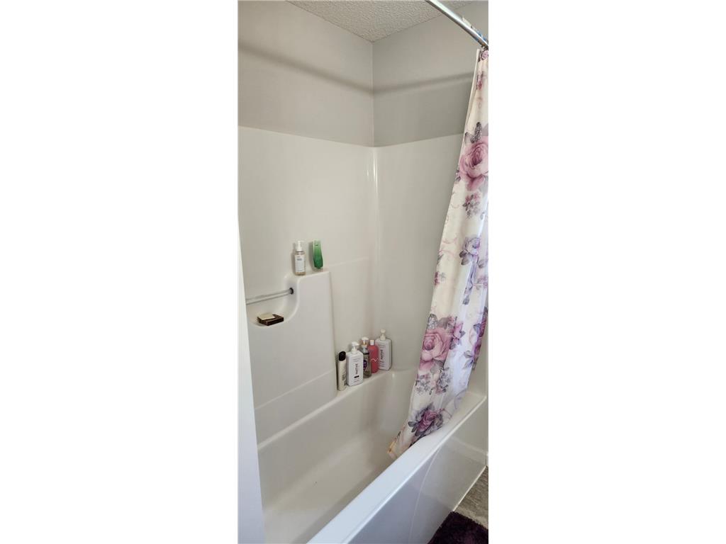 30532 Revere Avenue Shafer MN 55074 7082782 image15
