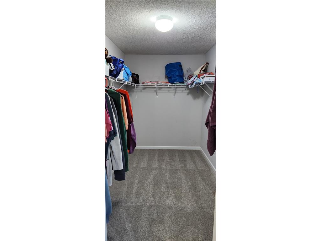 30532 Revere Avenue Shafer MN 55074 7082782 image16
