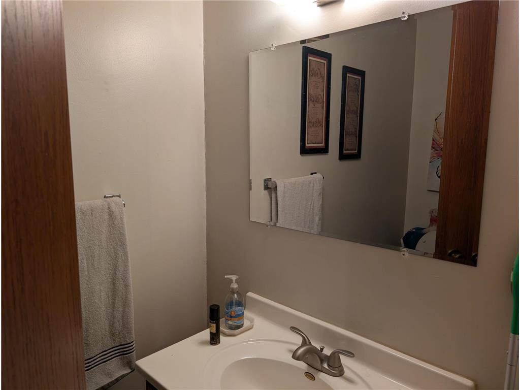 30536 Lexington Road Le Sueur MN 56058 6756448 image15