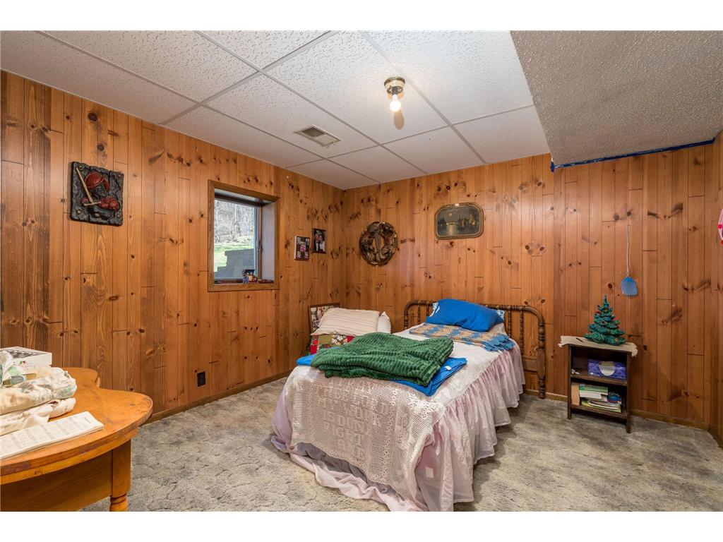 30536 Lexington Road Le Sueur MN 56058 7058782 image26